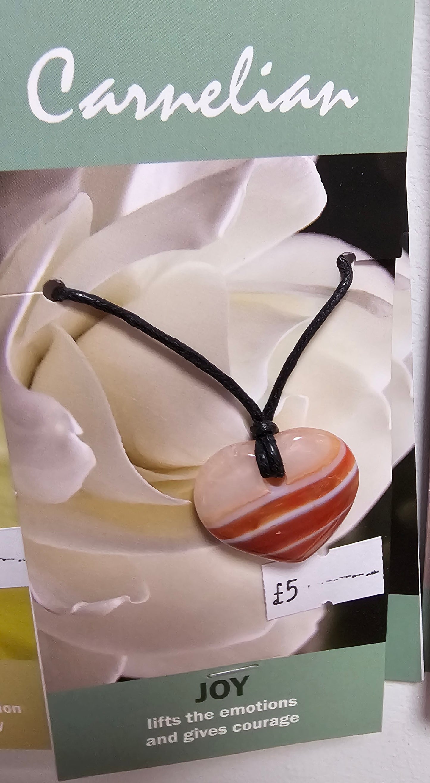 Carnelian pendant on black cord