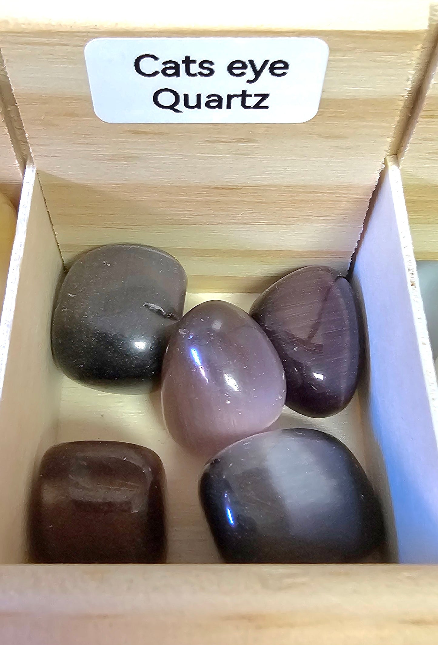 Cats Eye Quartz (Purple)