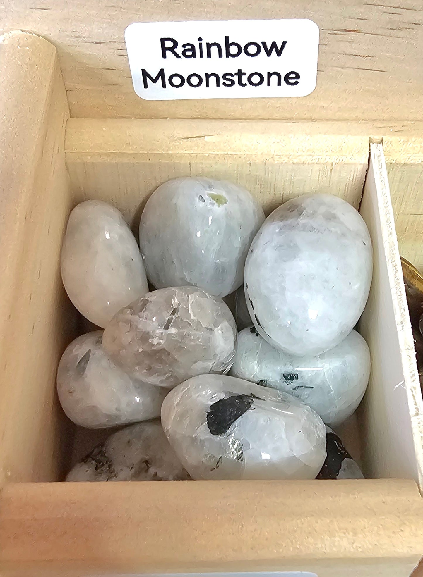 Rainbow Moonstone