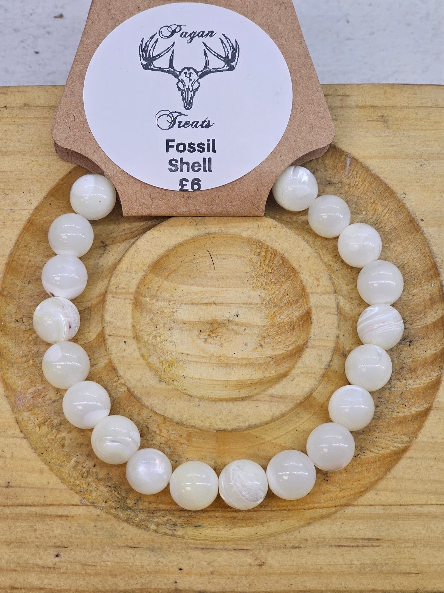 Fossil Shell 8mm bead bracelet