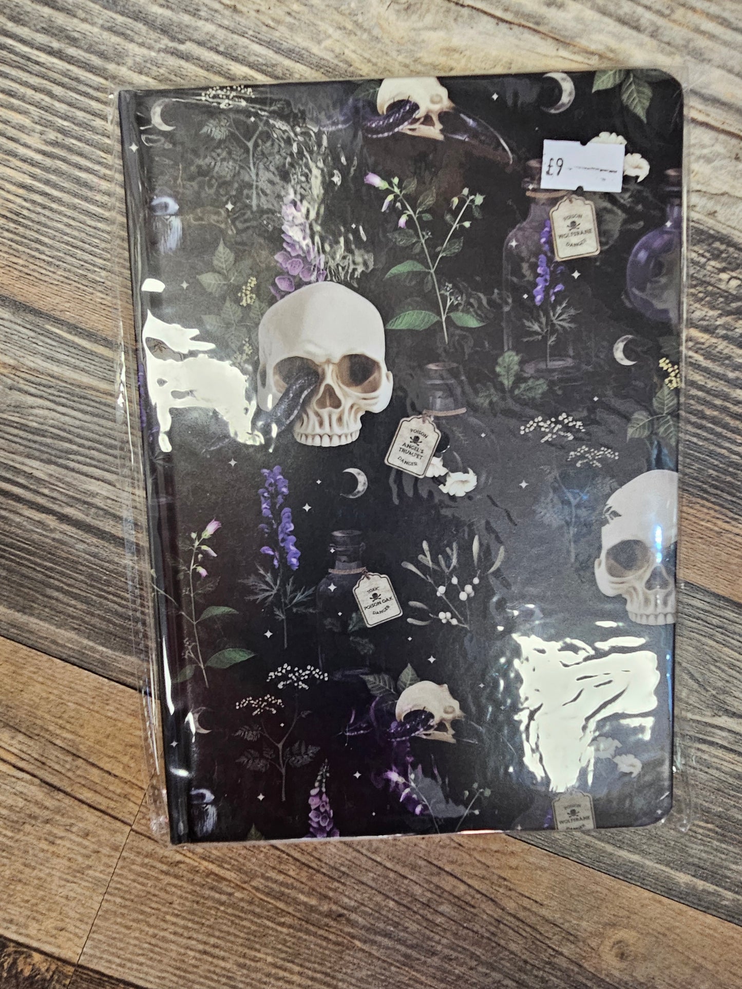 Poison skull and snake Notebook