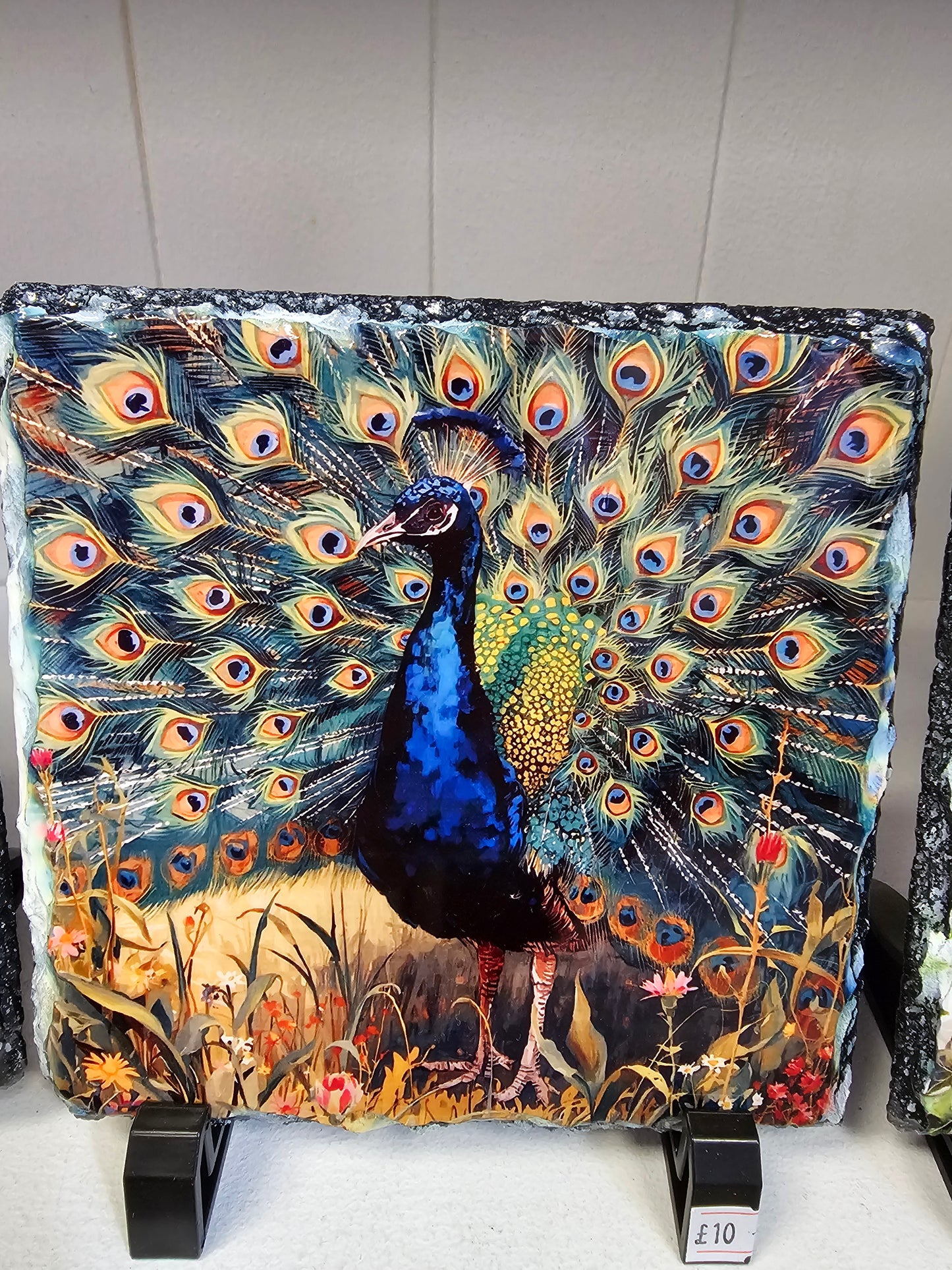 Peacock 14 x 14cm Slate
