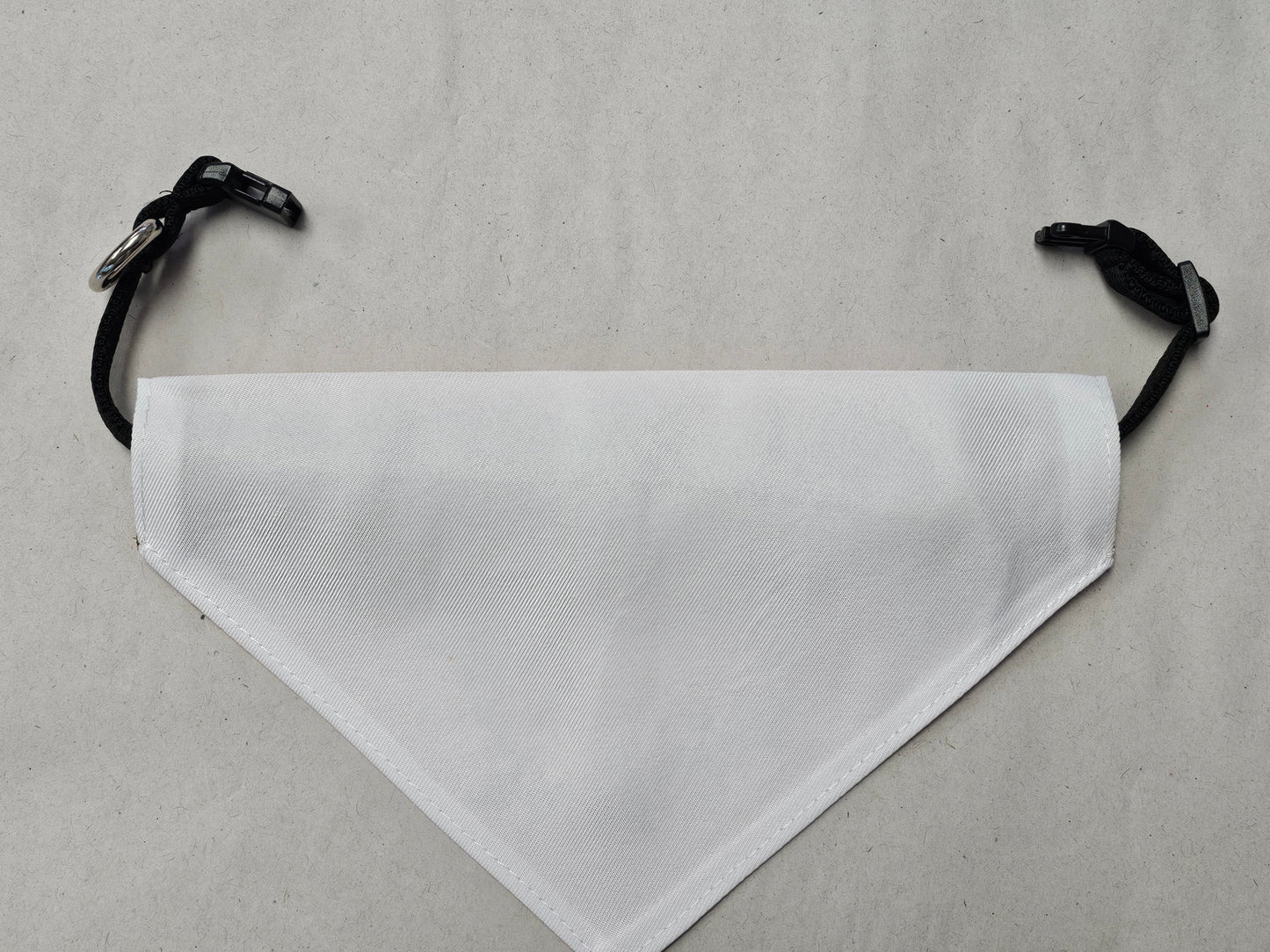 Print Your Own Pet Bandana (Medium)