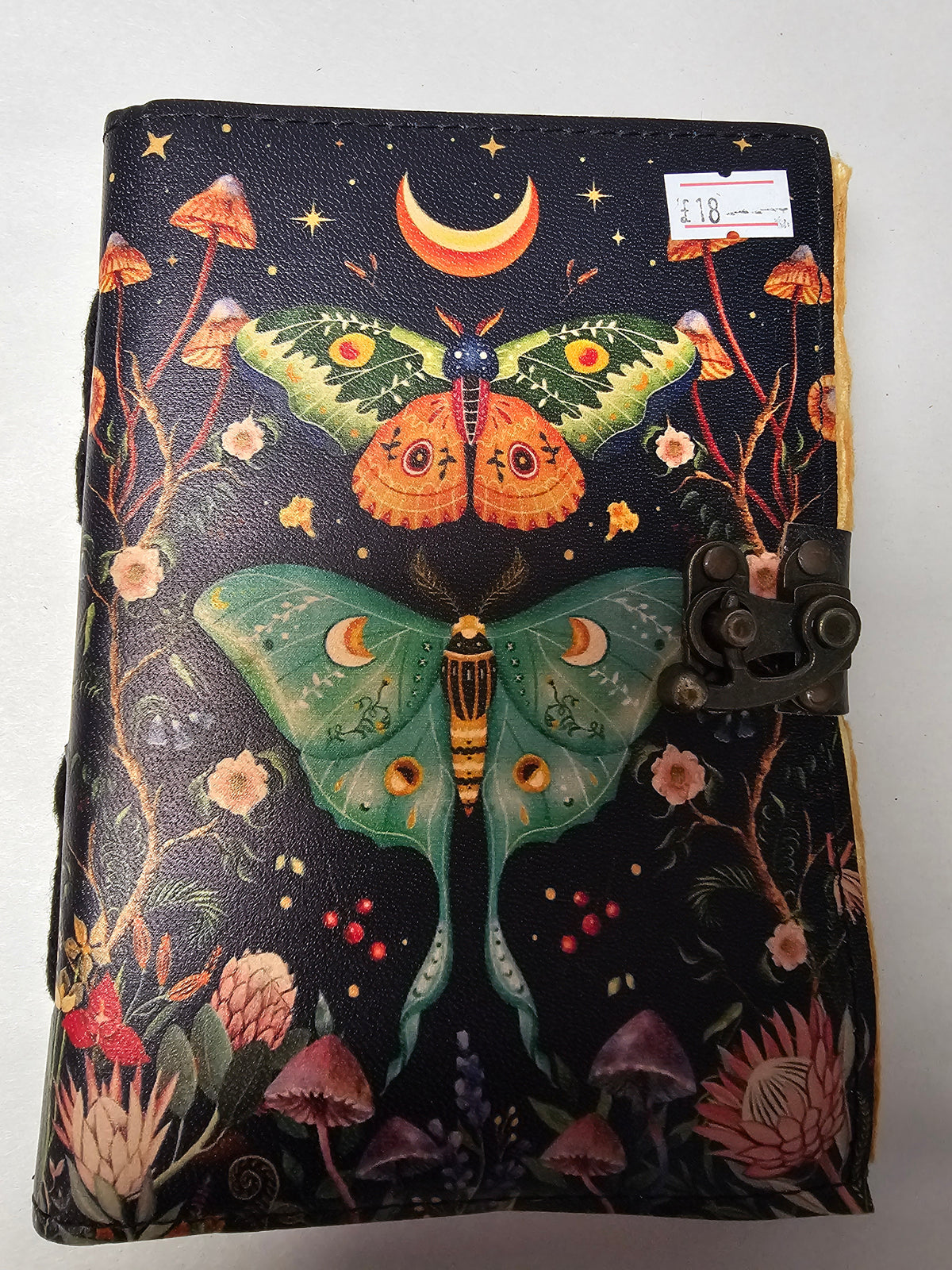 Luna Moth Grimoire