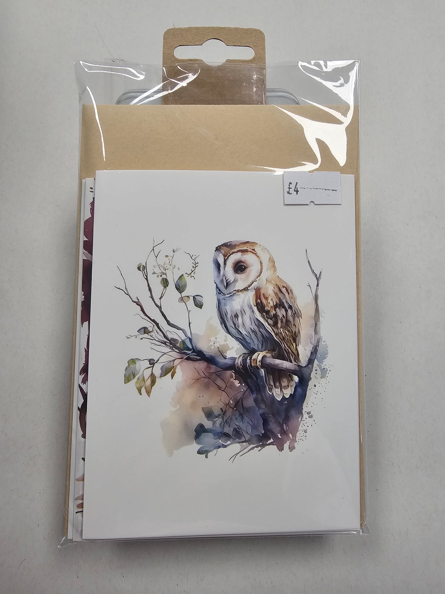 4 pack of assorted Owl Greetings Cards