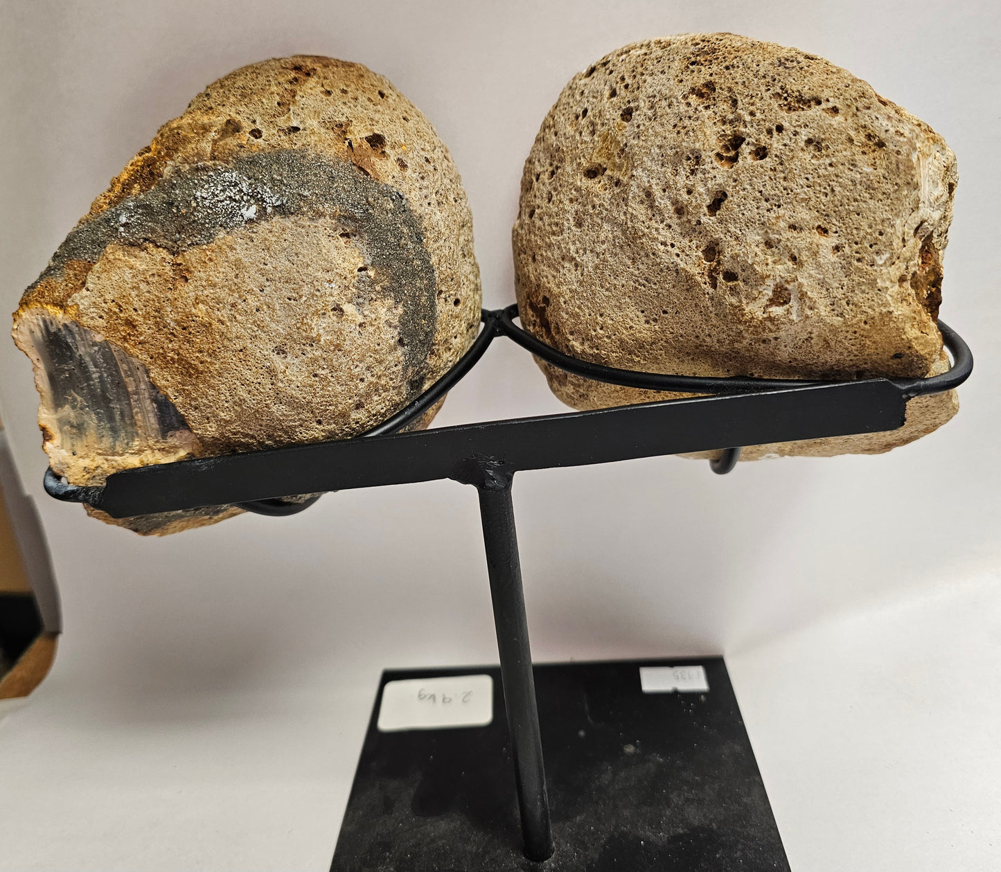 Amethyst & Agate Geode Wings on stand