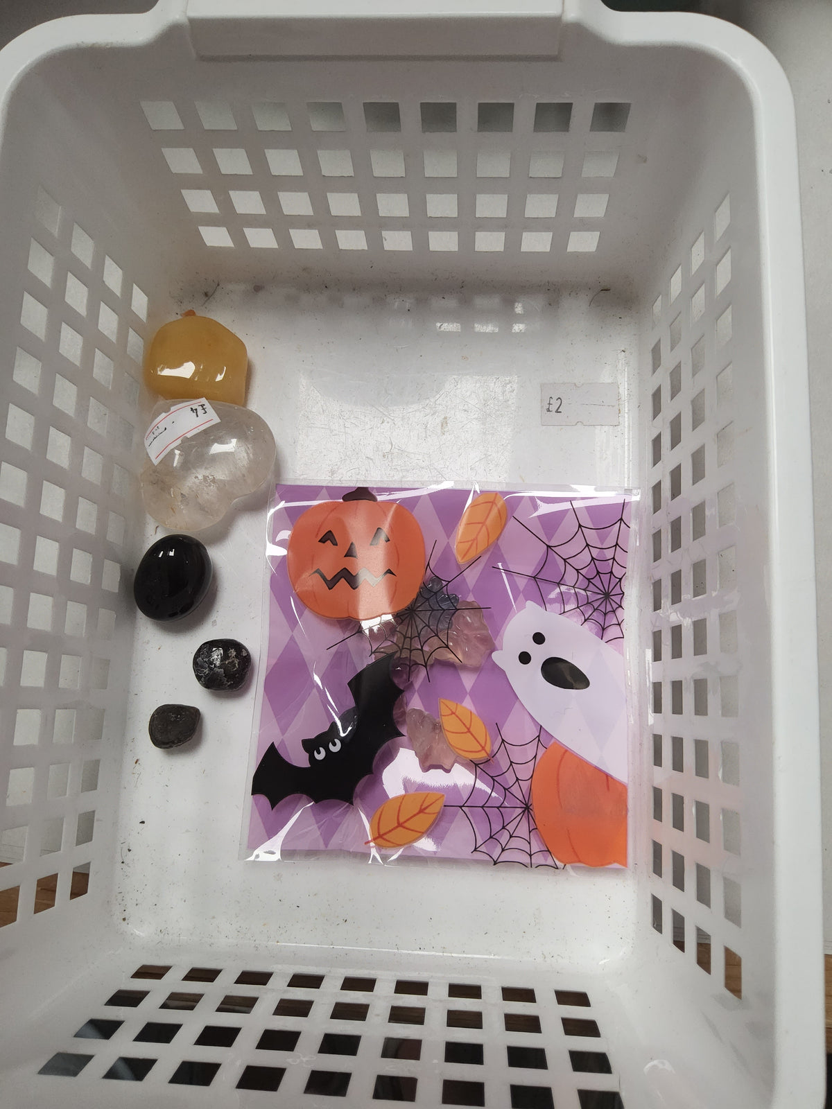 Georgia's live basket