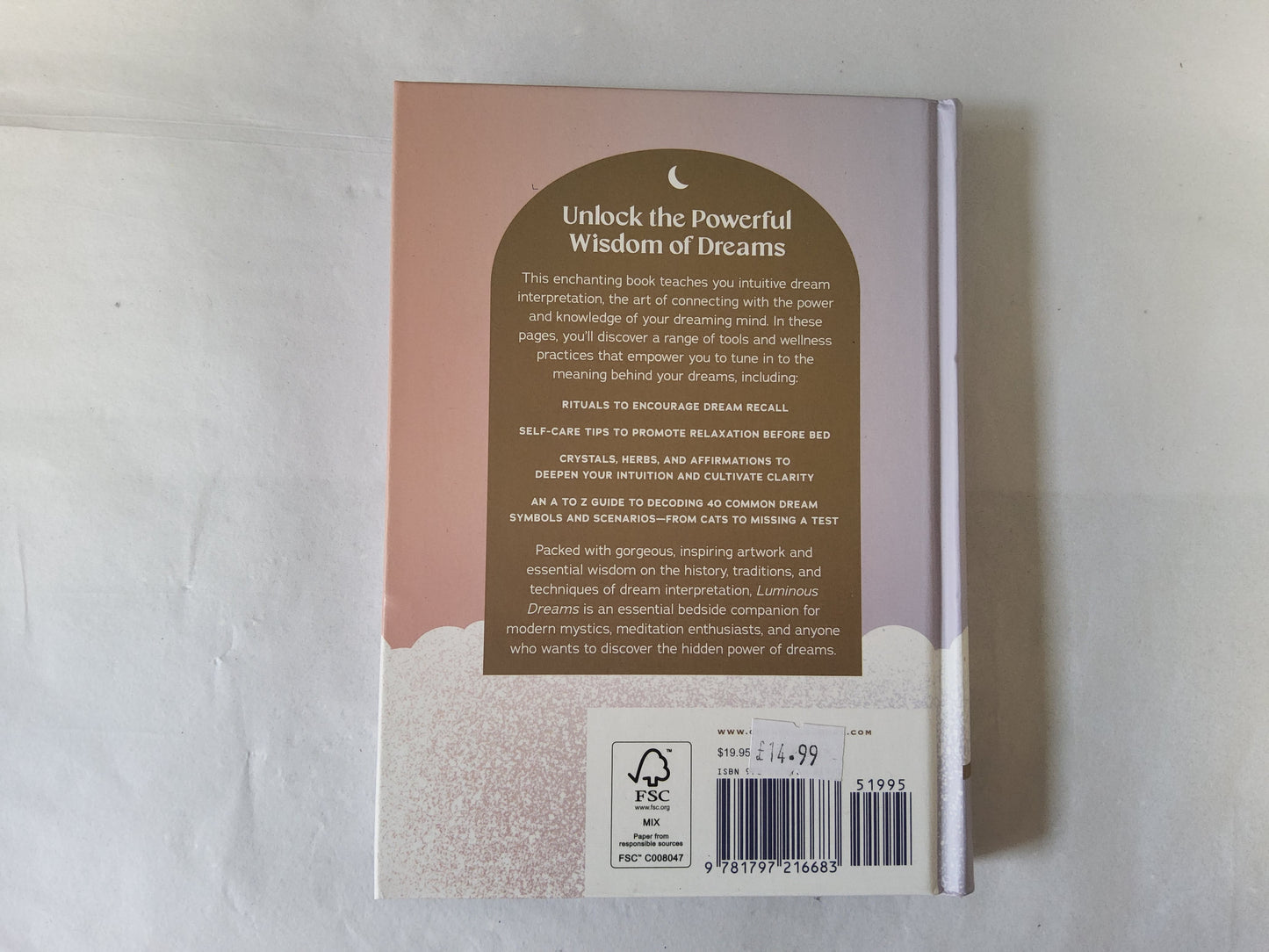 Luminous dreams book