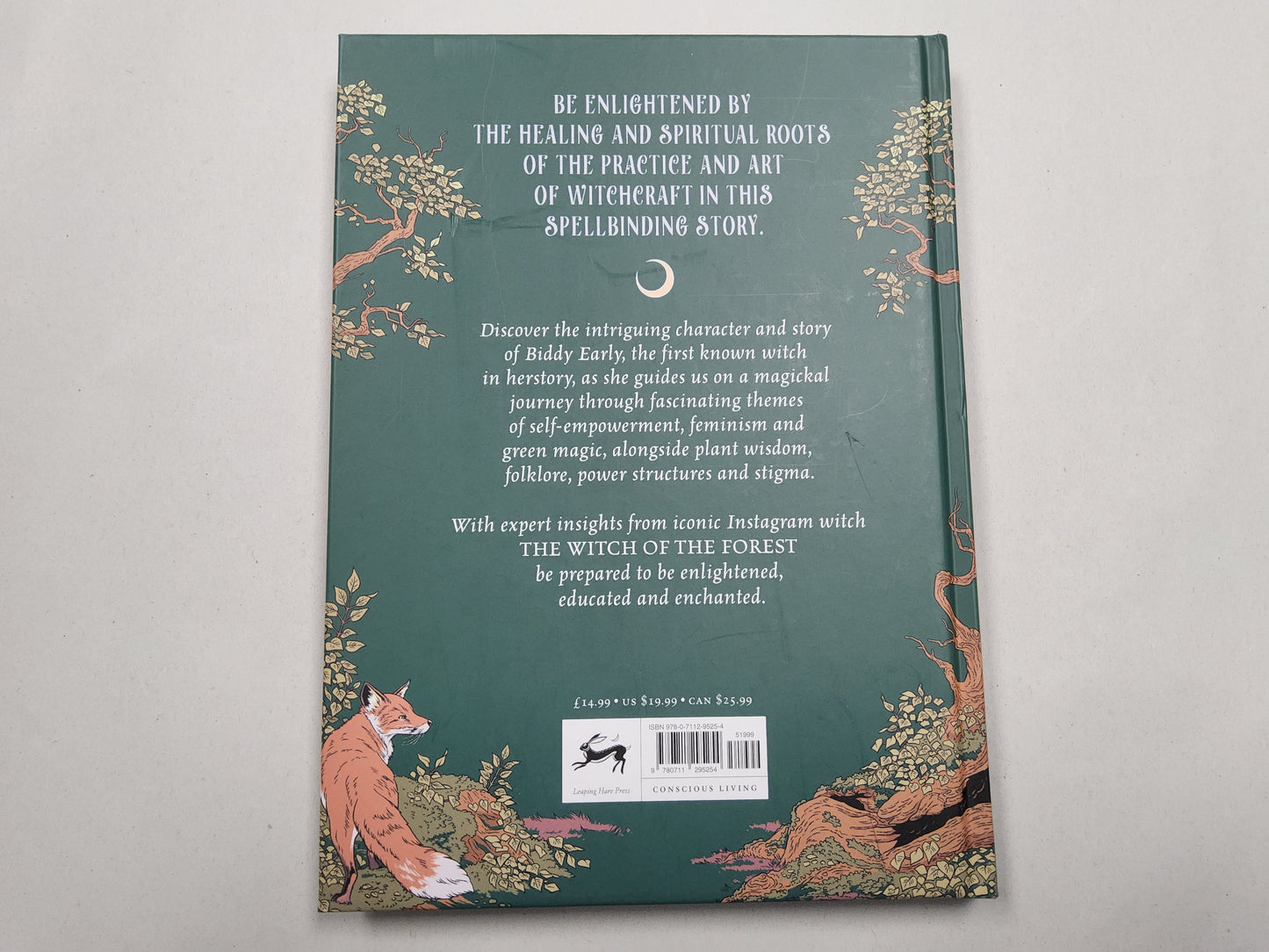 Witchcraft A Graphic History