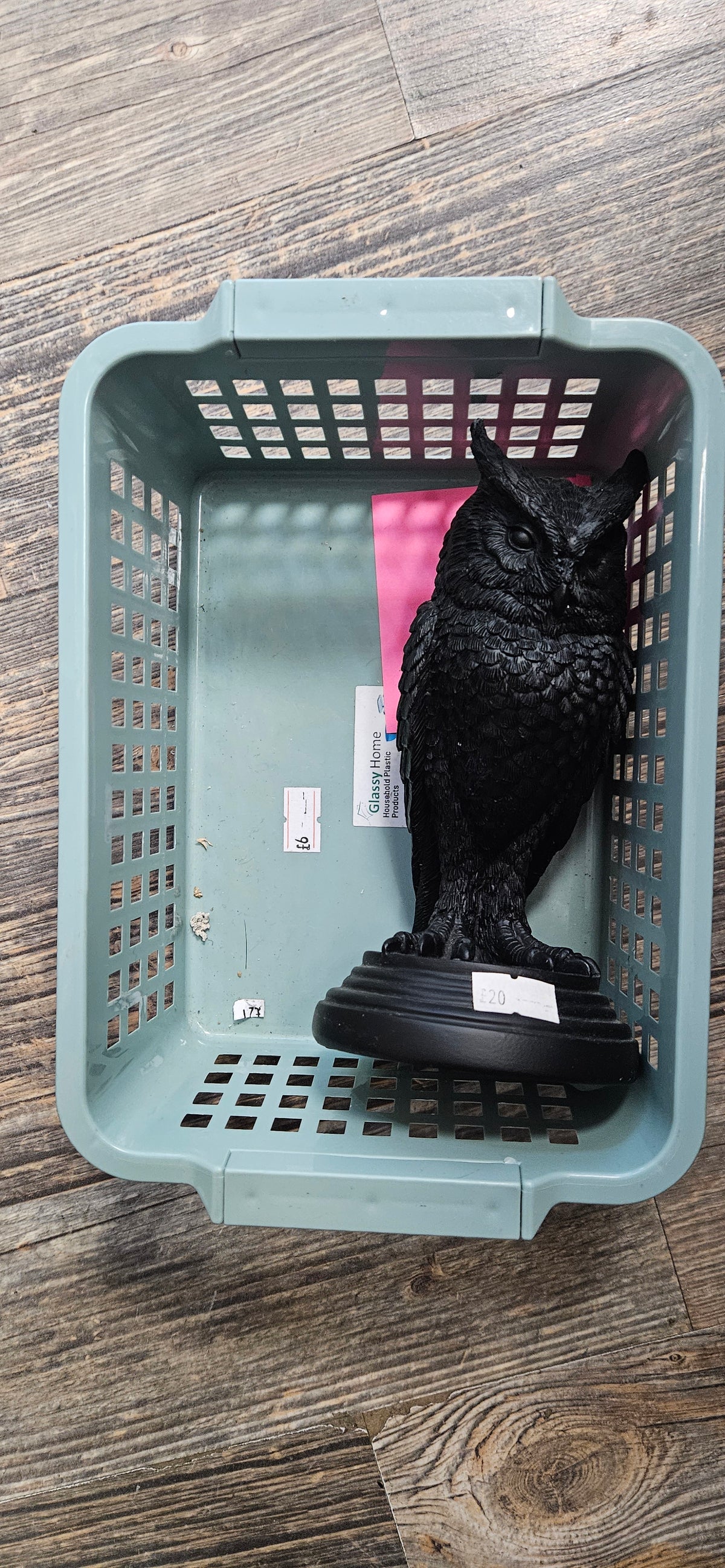 Lexi live basket