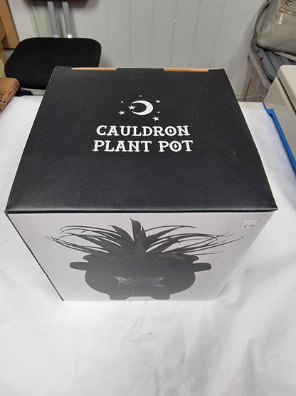 Cauldron plant pot