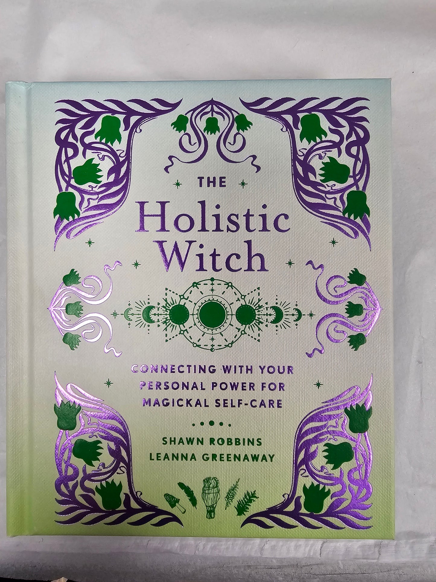The Holistic Witch book