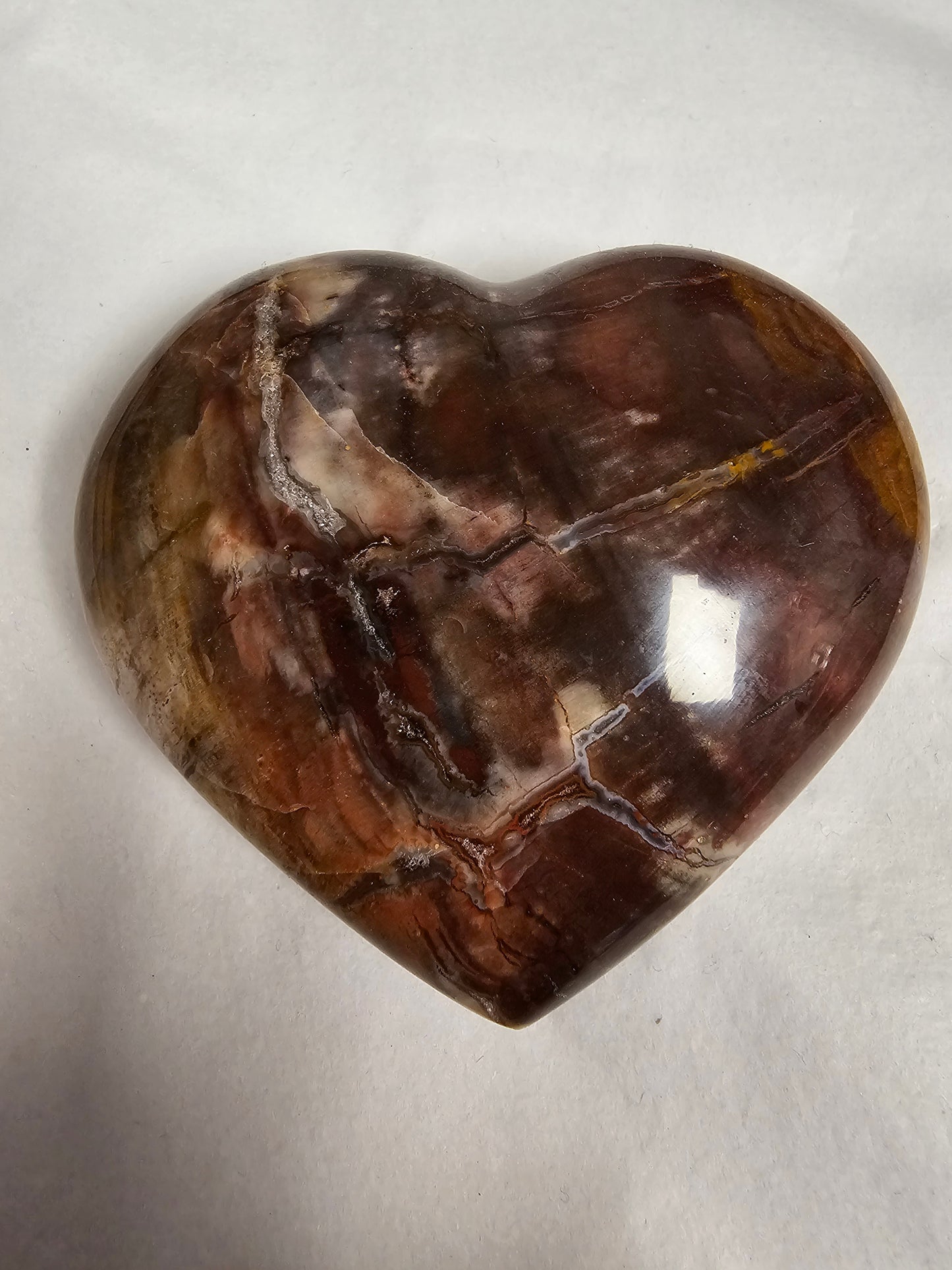 Petrified Wood Heart