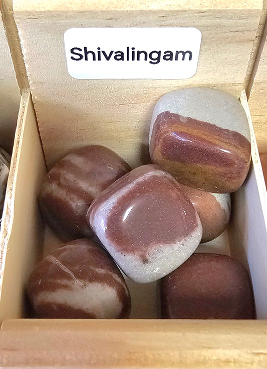 Shivalingam