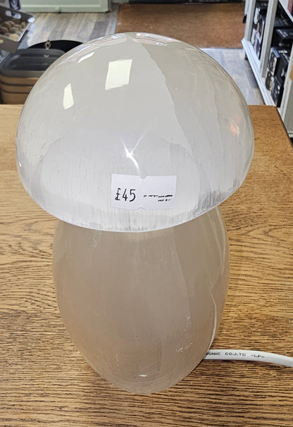 Selenite Mushroom Lamp