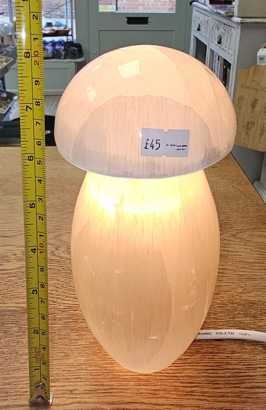Selenite Mushroom Lamp