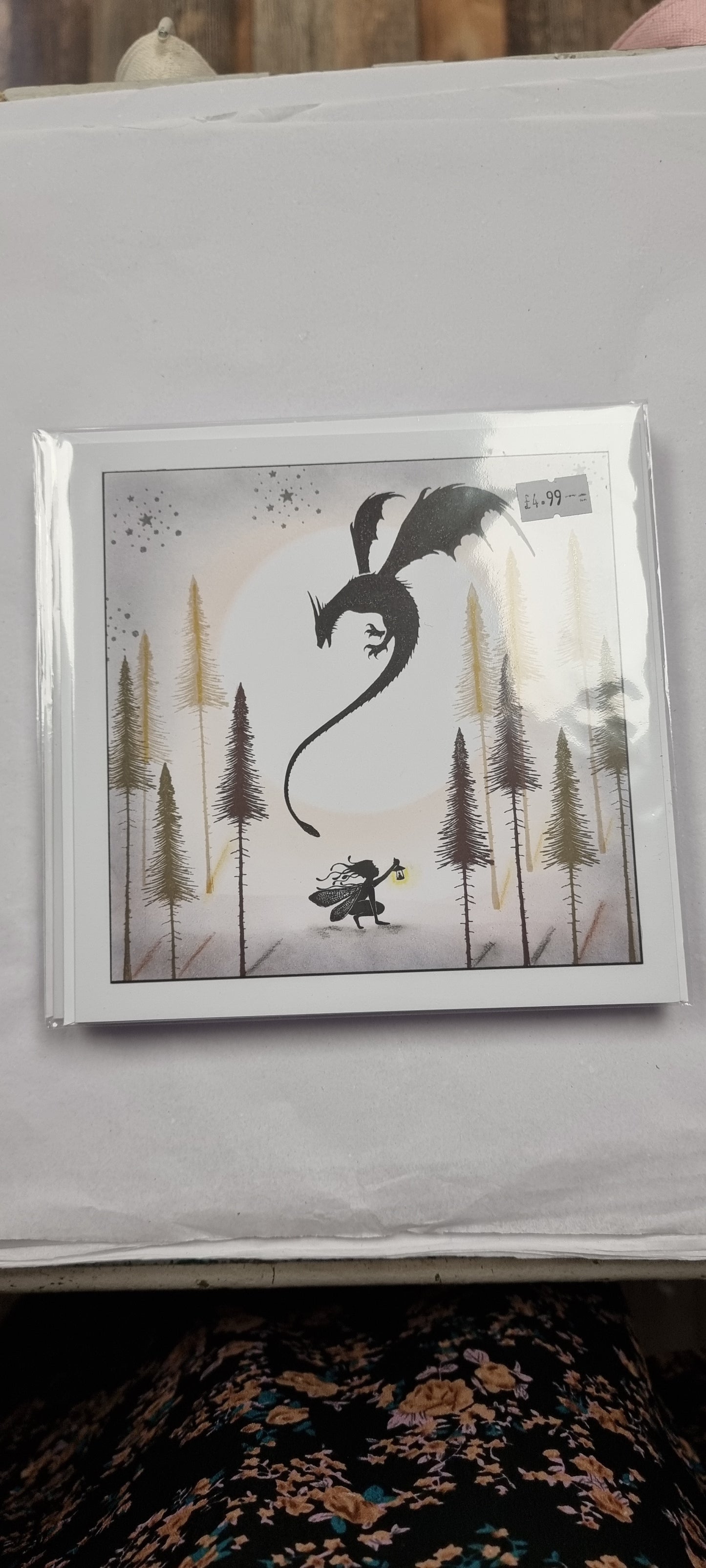 Dragon and fairy greetings card