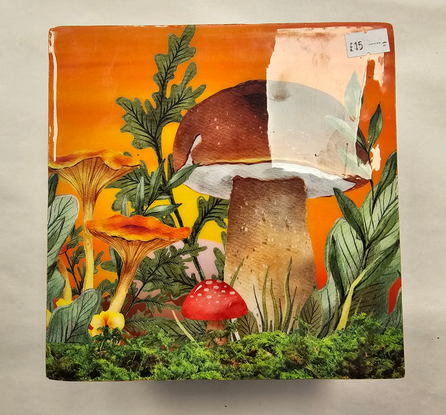 Wooden Box with Mushrooms