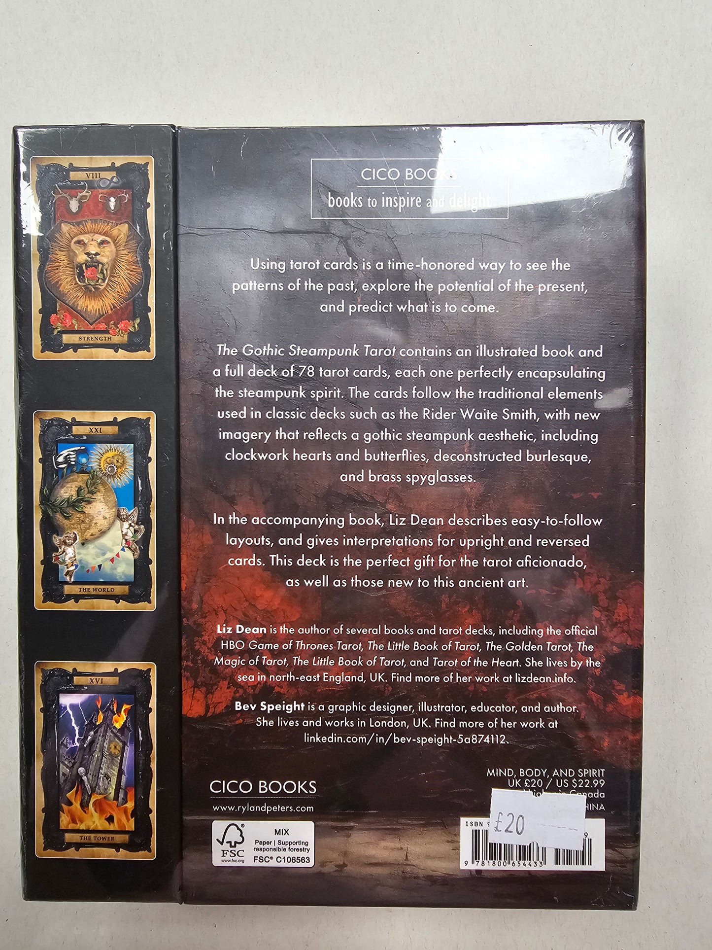 The Gothic Steampunk Tarot