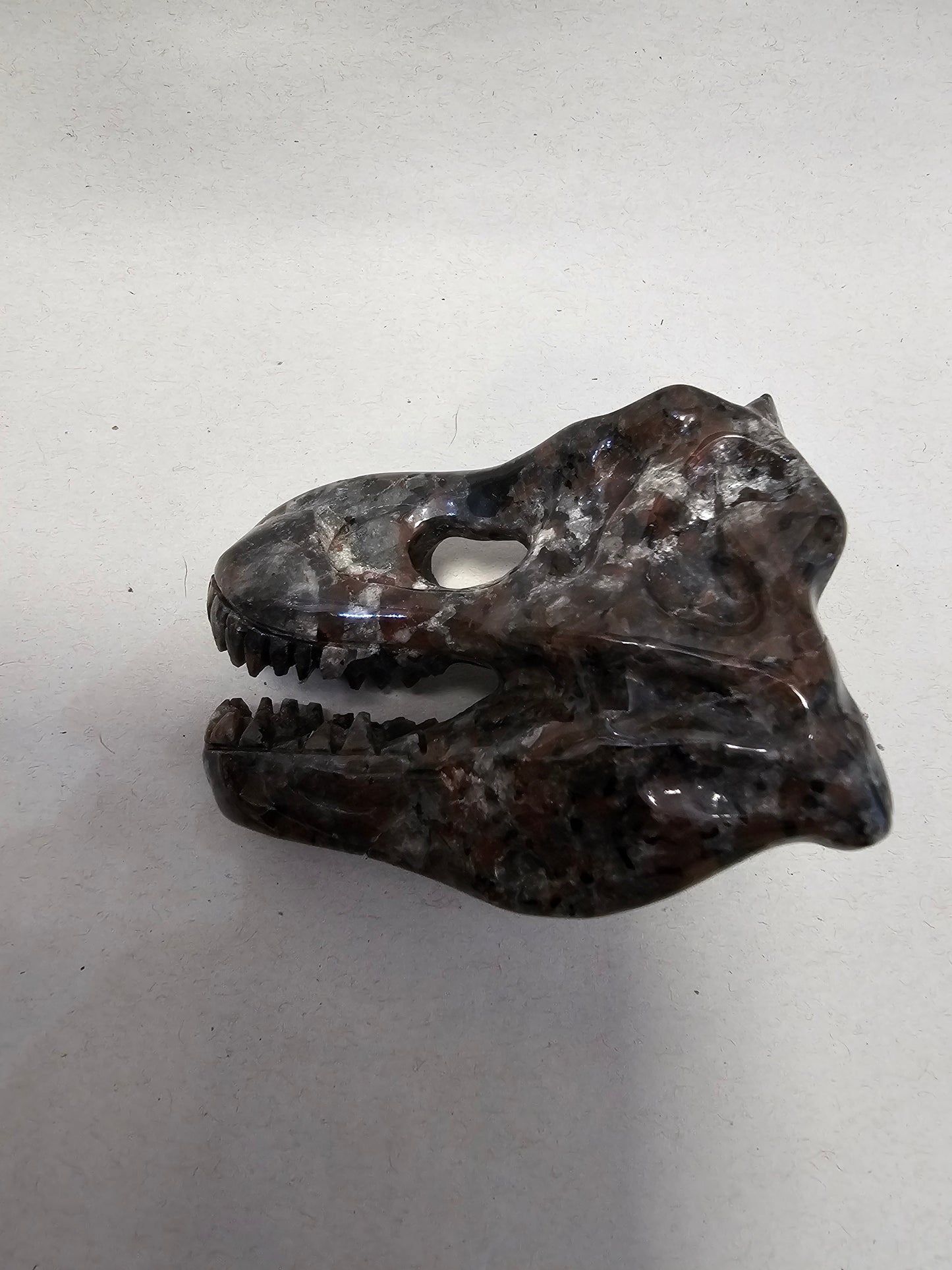 Yooperlite T-Rex Skull Carving (UV Reactive)