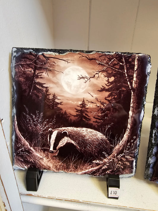 Badger 14 x 14cm Slate