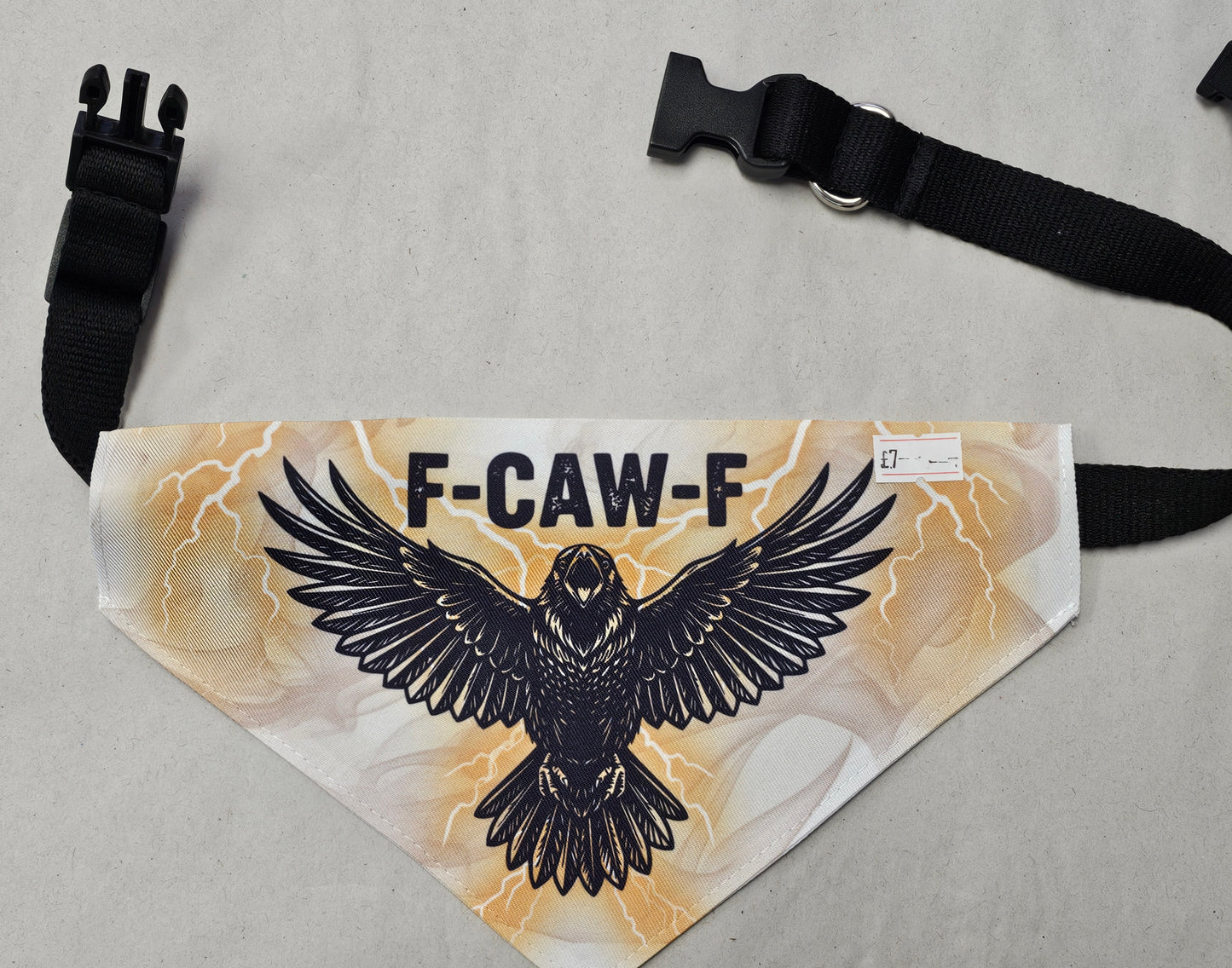 Print Your Own Pet Bandana (Large)