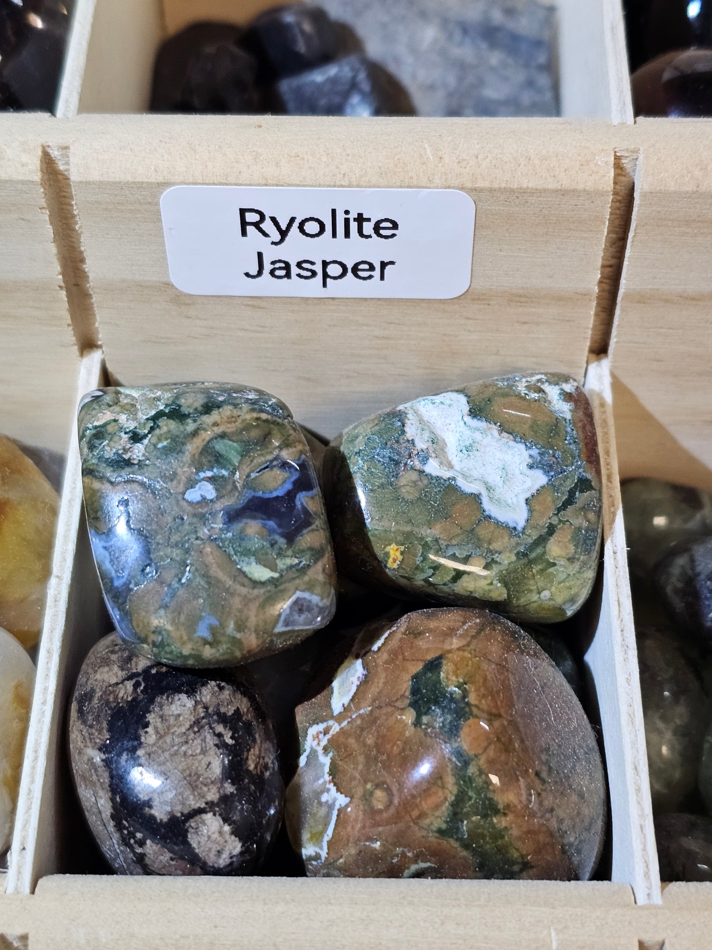 Ryolite (Rainforest) Jasper