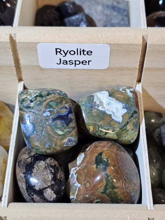 Ryolite (Rainforest) Jasper
