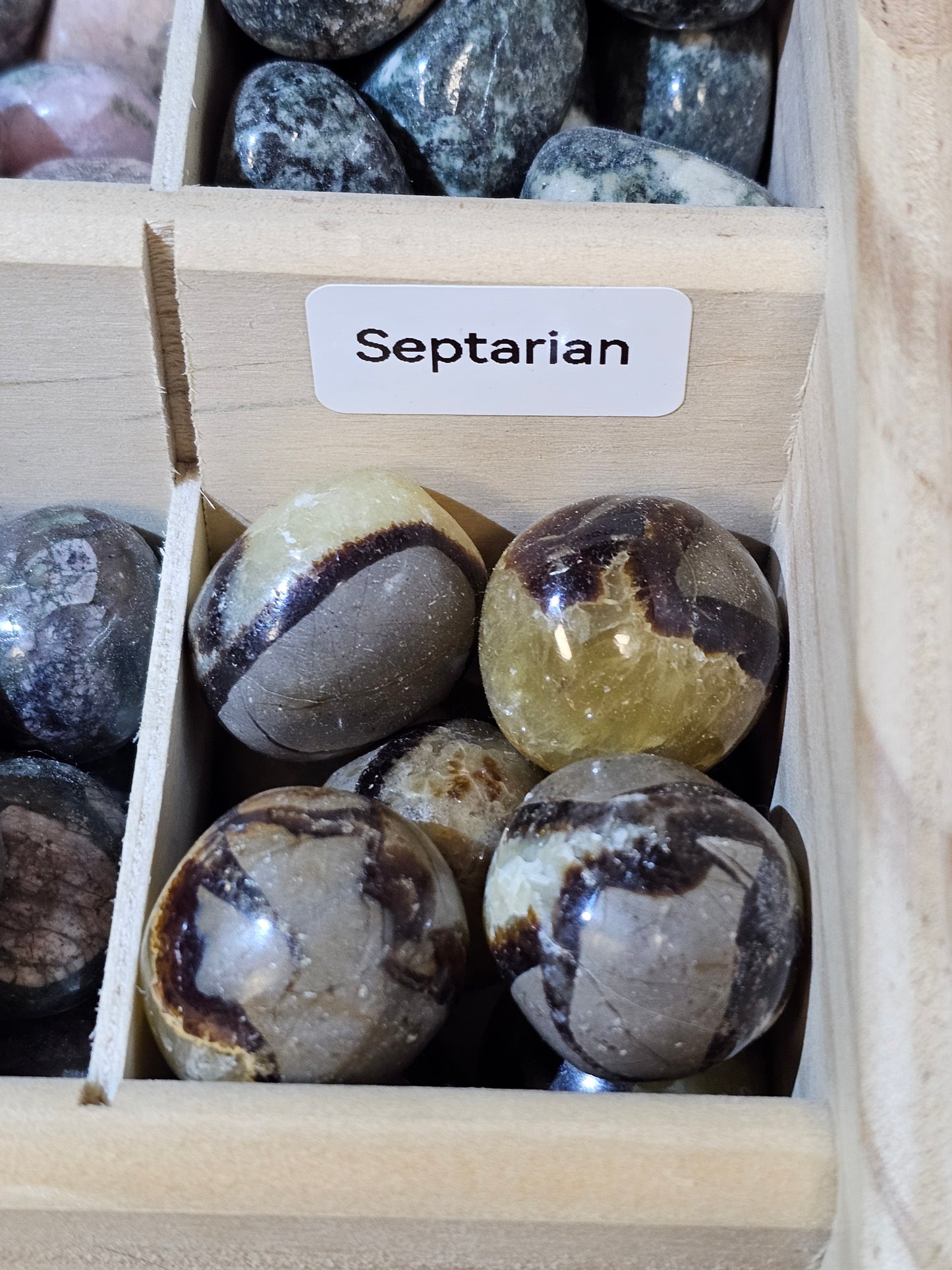 Septarian