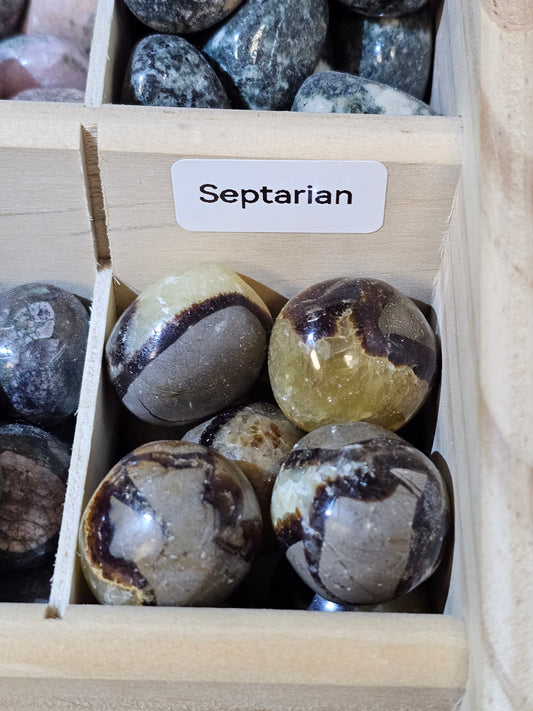 Septarian