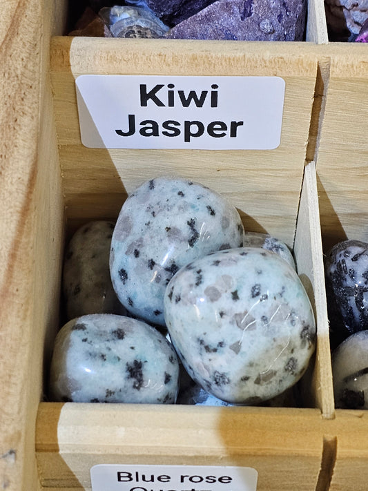 Kiwi Jasper