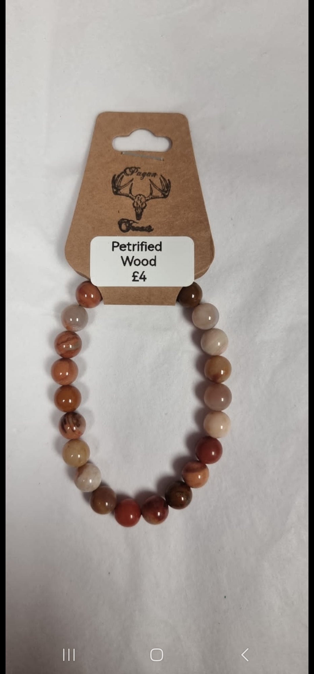 Petrified Wood bead bracelet