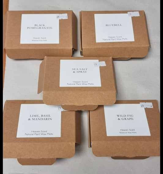 Wax Melts