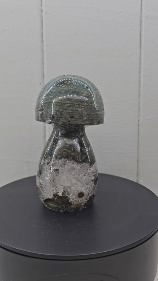 Ocean Jasper Mushroom 2