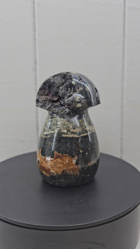Ocean Jasper Mushroom