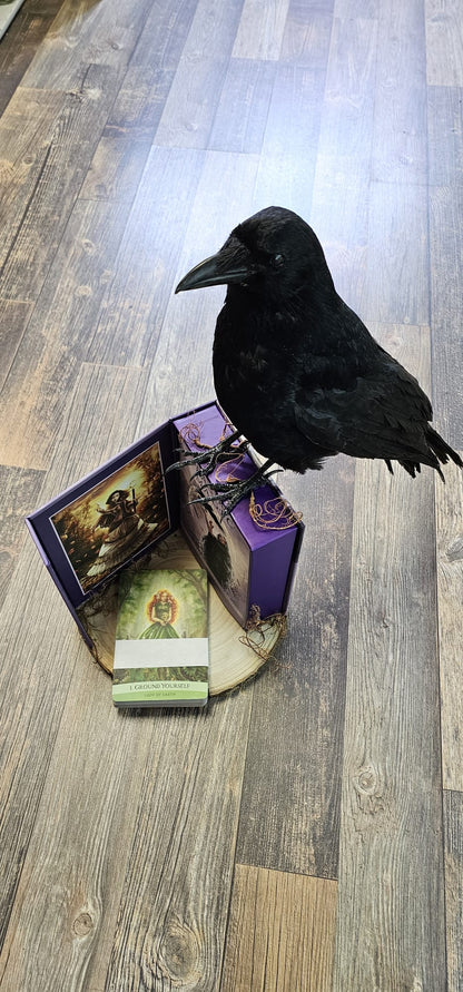 Crow taxidermy on a oracle deck.