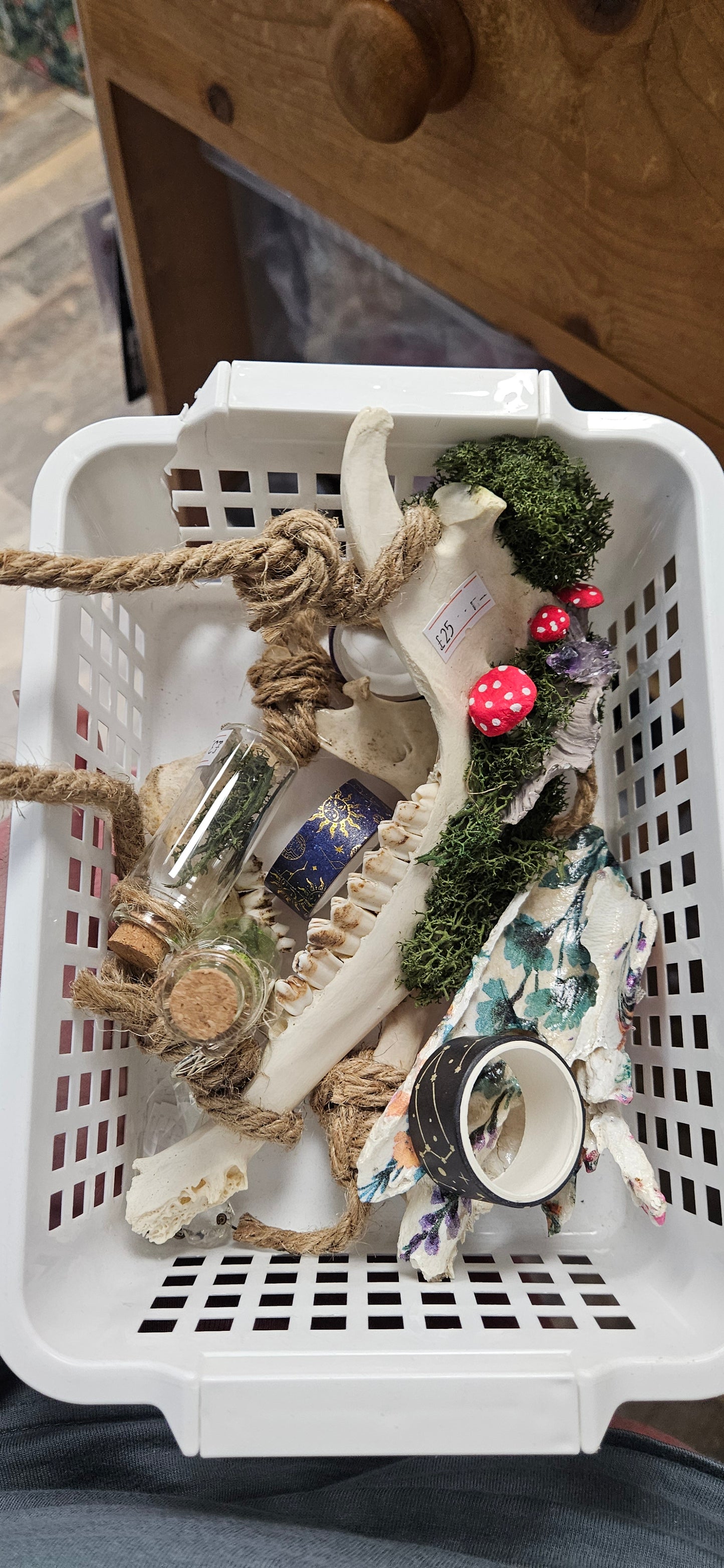 Kerry live basket