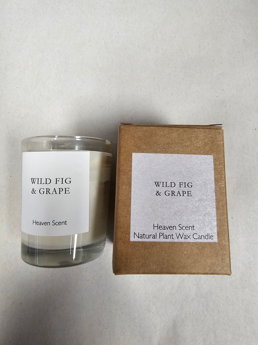 Wild Fig & Grape 70g candle