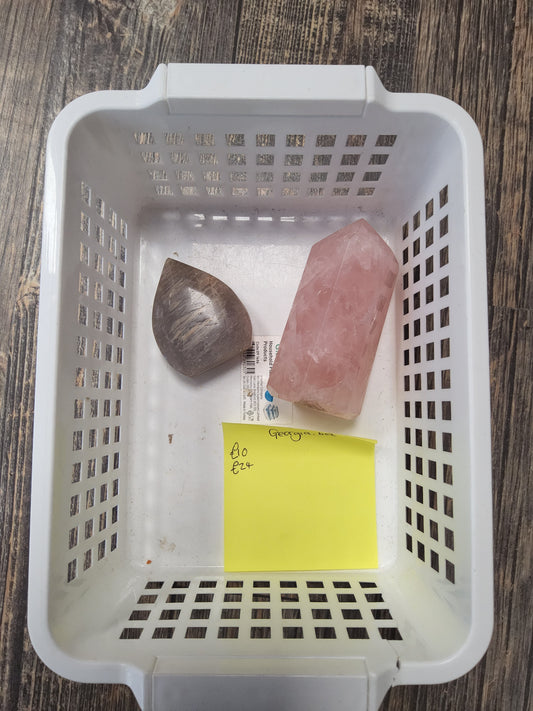 Georgia's live basket
