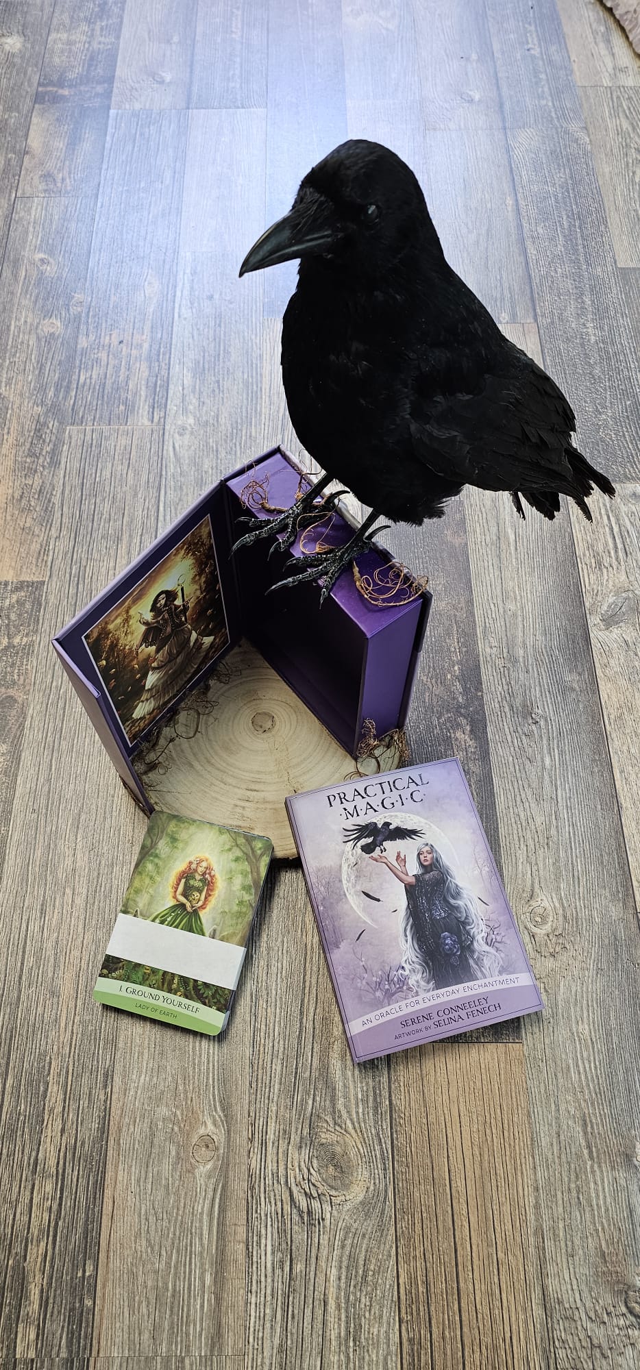 Crow taxidermy on a oracle deck.