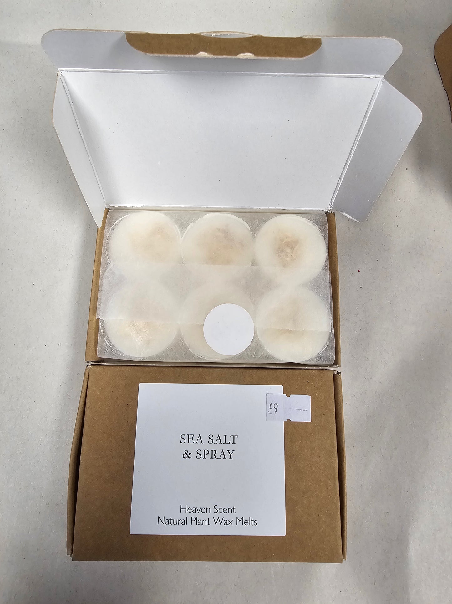 Sea Salt & Spray Wax Melts