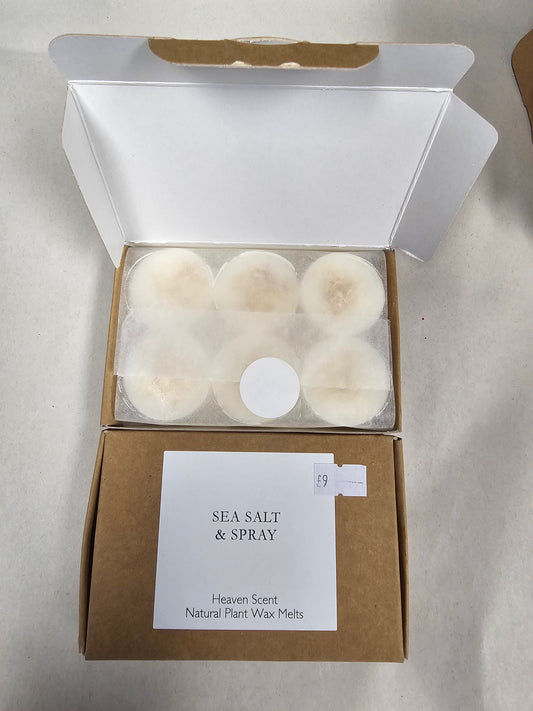 Sea Salt & Spray Wax Melts