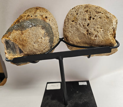 Amethyst & Agate Geode Wings on stand