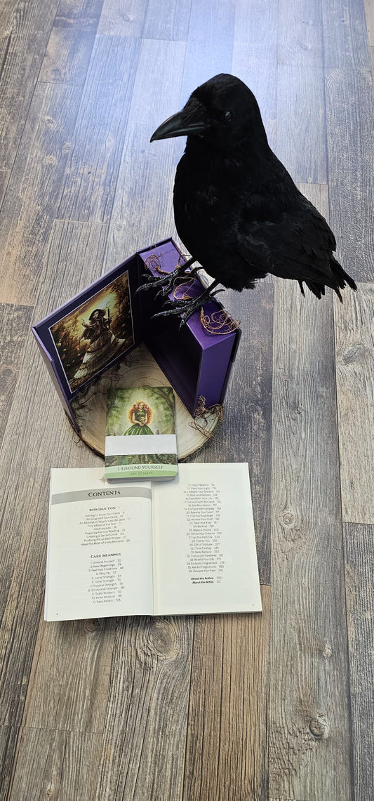 Crow taxidermy on a oracle deck.