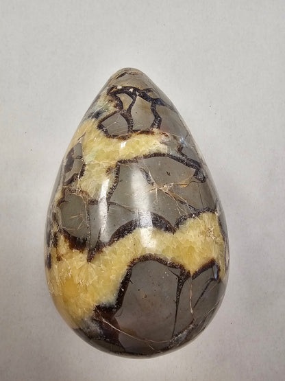 1.5kg Septarian Egg