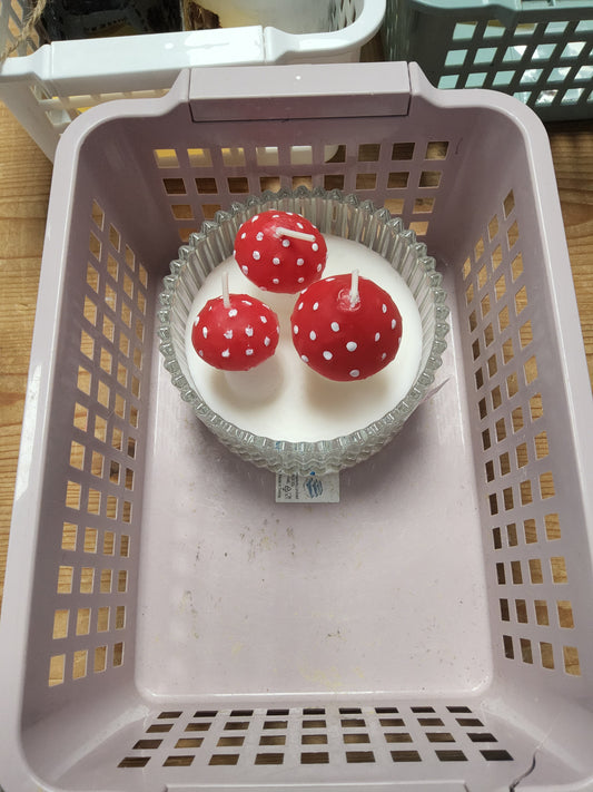 Donna's live basket