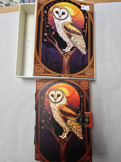 Owl Grimoire in Matching Box