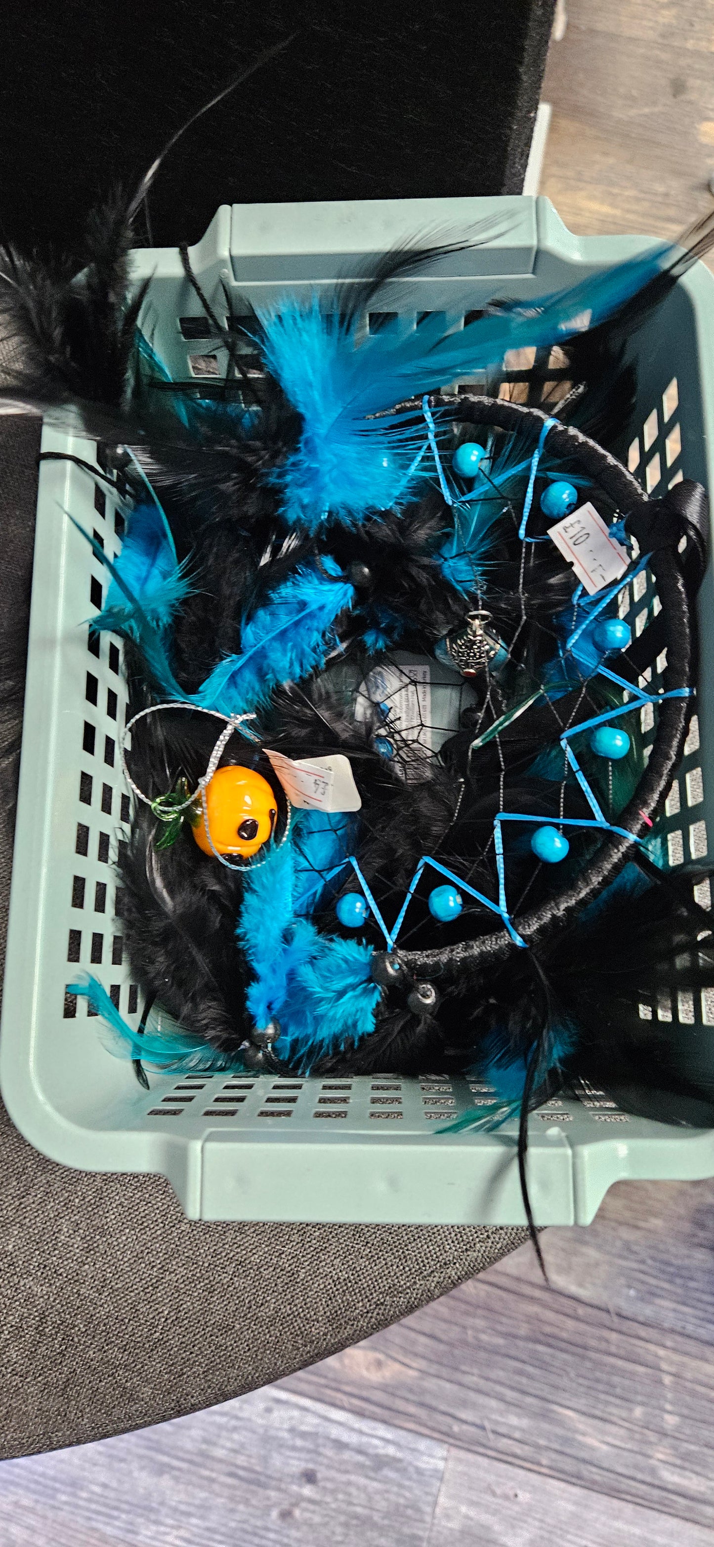 Hazel live basket