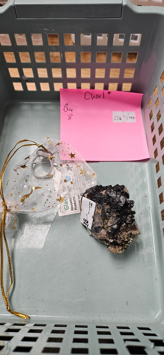 Charl 🌟 live basket