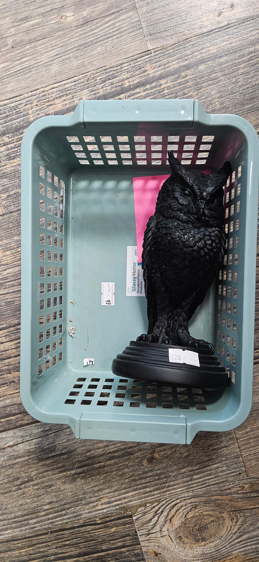 Lexi live basket